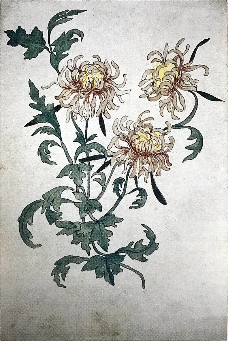 Fiori